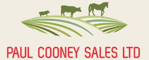 Paul Cooney Sales Ltd. logo